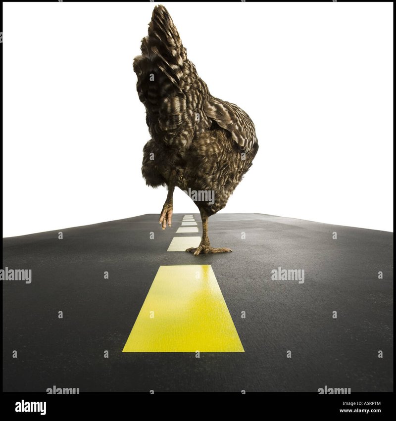 Jugar chicken road, chicken road game